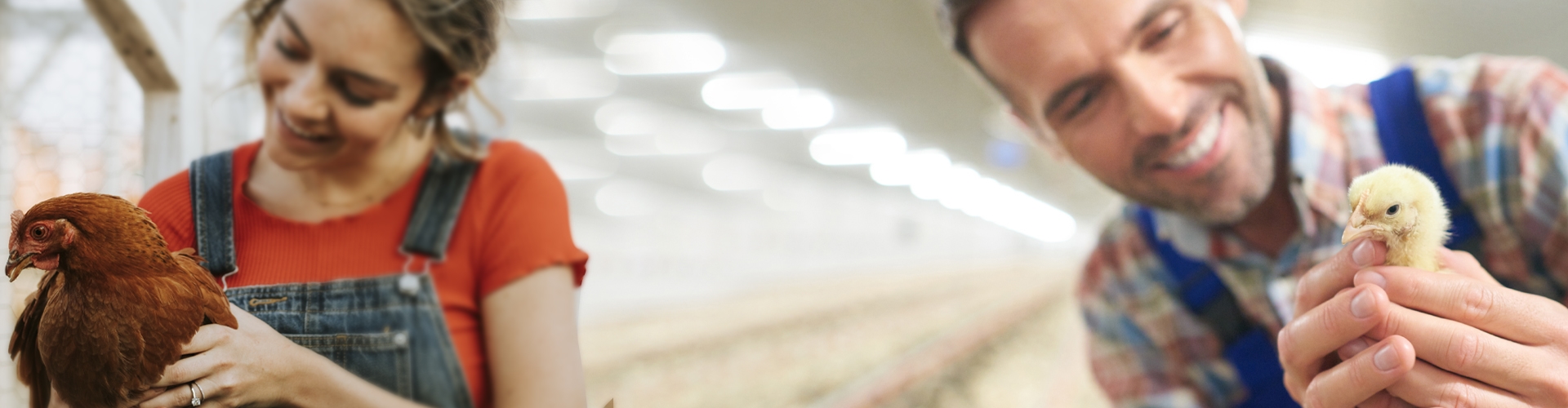 Sectoral solutions for heating needs